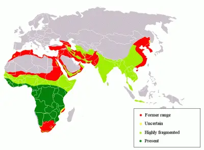 Пантера плямиста карта середовища проживання