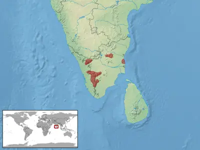 Southern Ghats slender gecko habitat map