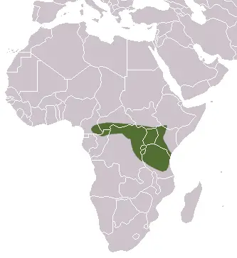 Crocidura hildegardeae mapa del hábitat