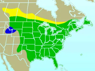 Ghiandaia azzurra americana mappa dell'habitat