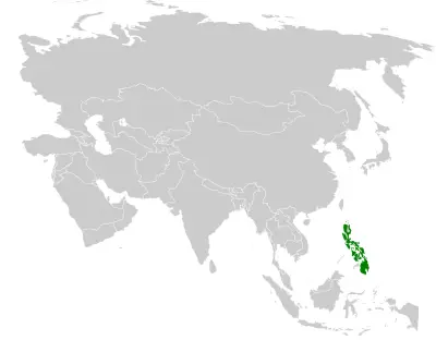 Philippine bulbul habitat map