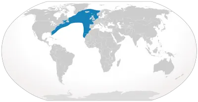 North Atlantic Right Whale habitat map