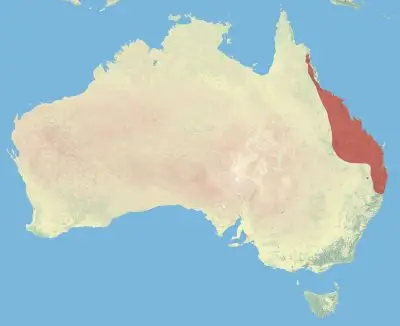 Pretty-Faced Wallaby habitat map