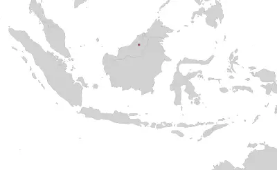 Ichthyophis dulitensis habitat map