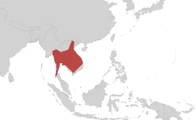 Koh Tao Island caecilian habitat map