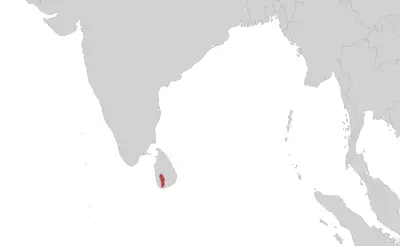 Ichthyophis pseudangularis habitat map
