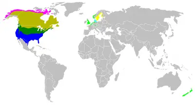 Barnacla canadiense mapa del hábitat