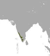 Brown palm civet habitat map
