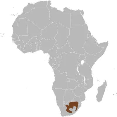 Black Wildebeest habitat map