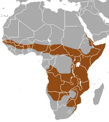 Banded Mongoose habitat map