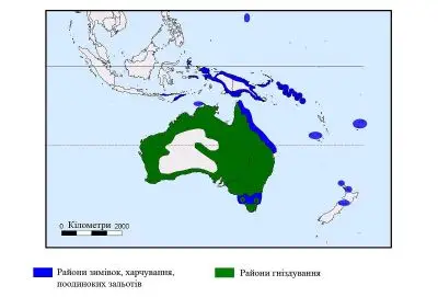 Australian Pelican habitat map