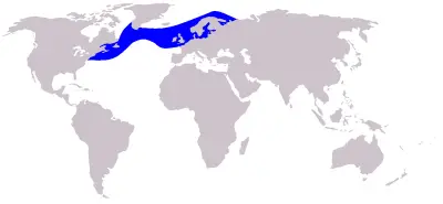 Atlantic White-Sided Dolphin habitat map