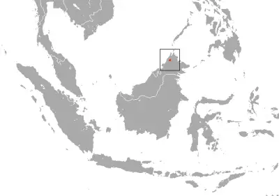 Kinabalu shrew habitat map