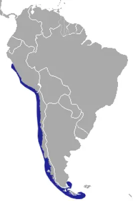 Marine Otter habitat map