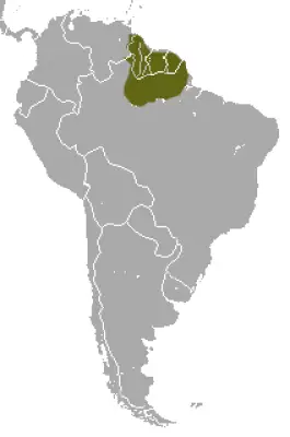 Red-Faced Spider Monkey habitat map