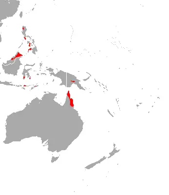 Rhinolophus philippinensis карта середовища проживання
