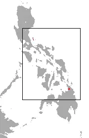 Large Mindanao roundleaf bat habitat map