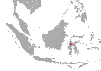 Lariang tarsier habitat map