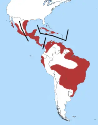 Пірникоза домініканська карта середовища проживання