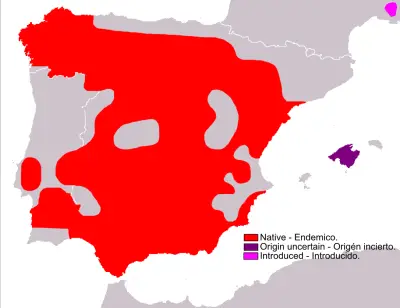 Granada hare habitat map