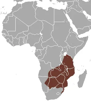 Lesser red musk shrew habitat map