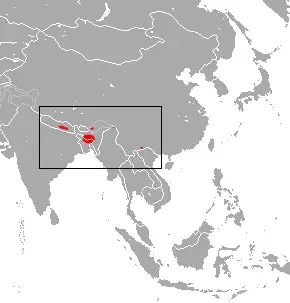 Little Nepalese horseshoe bat habitat map