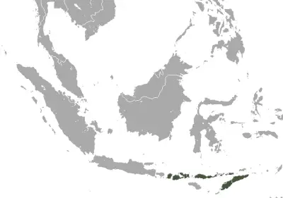 Lombok flying fox habitat map
