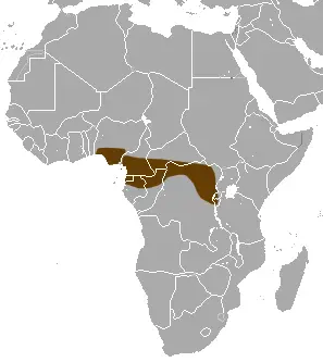 Long-tailed musk shrew habitat map