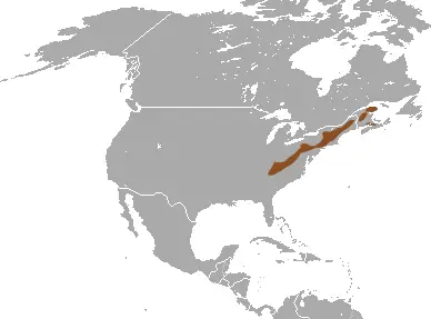 Long-tailed shrew habitat map