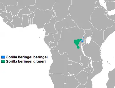 Eastern Gorilla habitat map