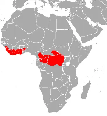 Bongo Antelope habitat map