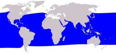 Short-Finned Pilot Whale habitat map