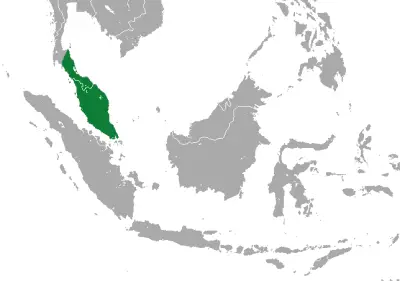 Malayan shrew habitat map