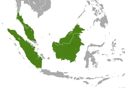Malayan weasel habitat map