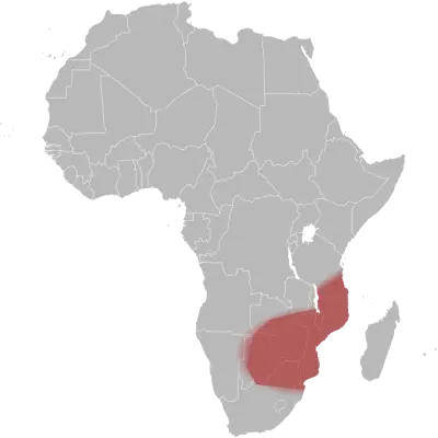 Mozambique Spitting Cobra habitat map