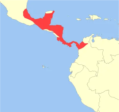 Central American red brocket habitat map