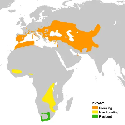 European bee-eater habitat map