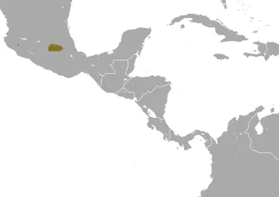Mexican long-tailed shrew habitat map