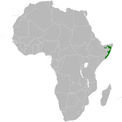 Somali lark habitat map
