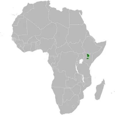 Фірлюк кенійський карта середовища проживання