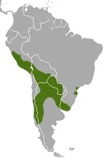 Molina's hog-nosed skunk habitat map