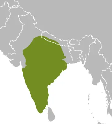 Indian spotted chevrotain habitat map