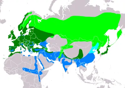 Eurasian Sparrowhawk habitat map