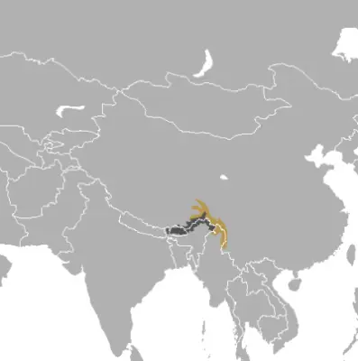 Muntiacus gongshanensis карта середовища проживання