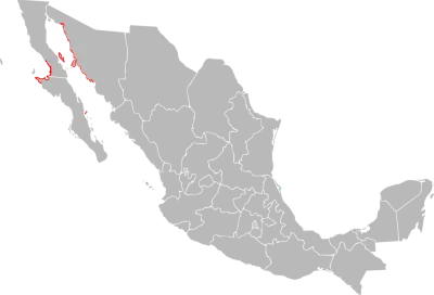 Myotis vivesi habitat map