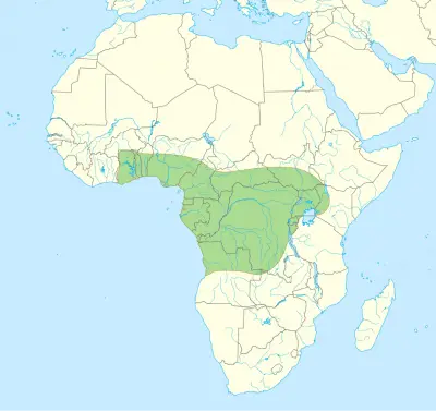 Jameson's Mamba habitat map