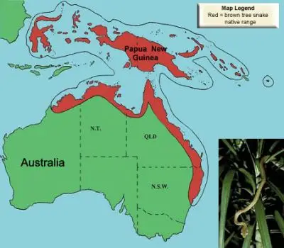 Brown Tree Snake habitat map