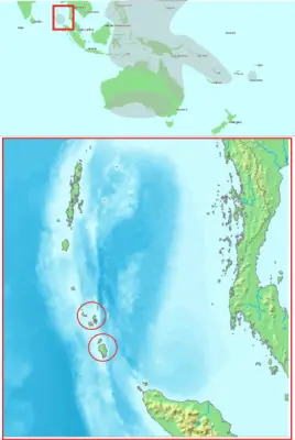Talégalo de nicobar mapa del hábitat
