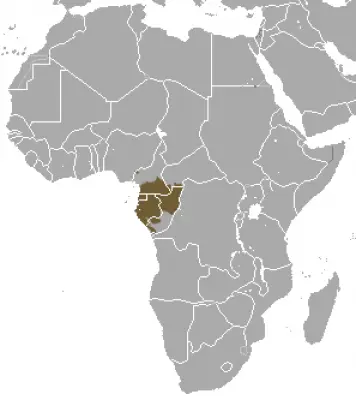Western Gorilla habitat map