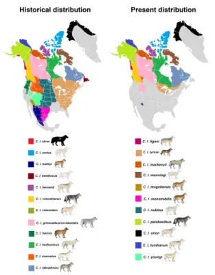 Alaskan tundra wolf habitat map